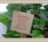 【ASHIATOYA】オリジナルフレンチCuddlyカード（アイボリー）