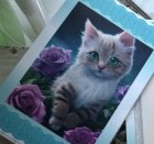 他の写真2: △【一言カード】△[ASHIATOYA]オリジナルカード5枚セット猫と薔薇